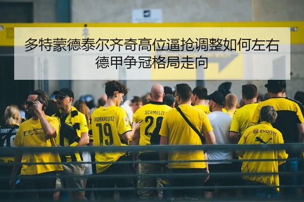 duo-te-meng-de-tai-er-qi-qi-gao-wei-bi-qiang-tiao-zheng-ru-he-zuo-you-de-jia-zheng-guan-ge-ju-zou-xiang-1-648.jpg